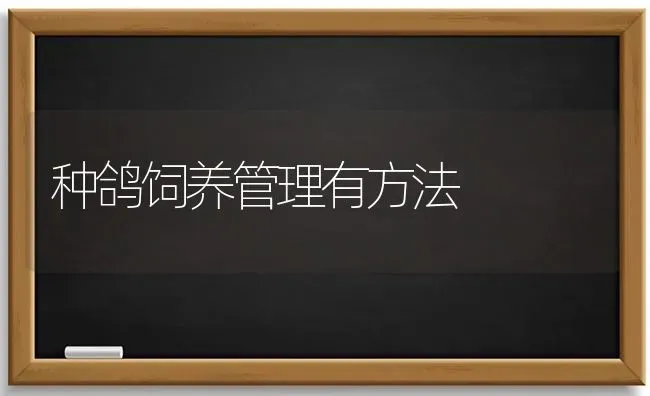 叶面肥与农药混用的注意事项 | 种植病虫害防治