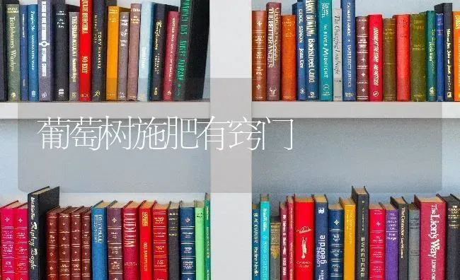 葡萄树施肥有窍门 | 种植肥料施肥