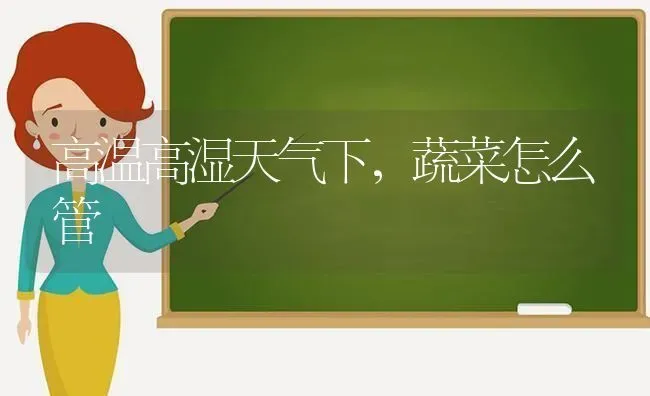 高温高湿天气下，蔬菜怎么管 | 蔬菜种植