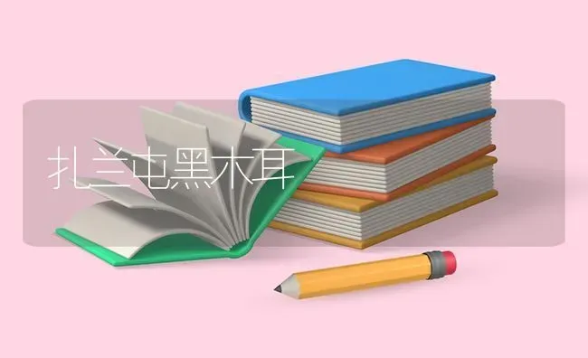 扎兰屯黑木耳 | 食用菌种植