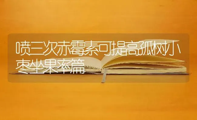 喷三次赤霉素可提高孤树小枣坐果率篇 | 瓜果种植