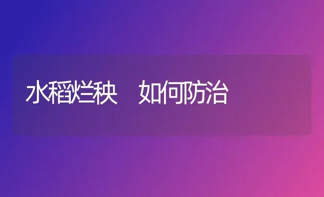 水稻烂秧 如何防治 | 粮油作物种植