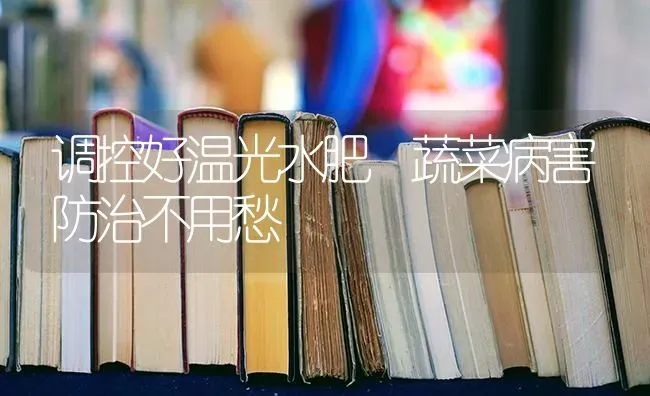 调控好温光水肥 蔬菜病害防治不用愁 | 蔬菜种植