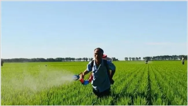 雨季如何使用农药 | 种植技术