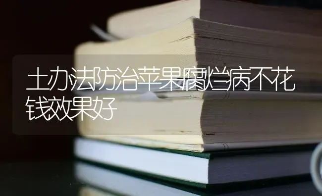 土办法防治苹果腐烂病不花钱效果好 | 瓜果种植
