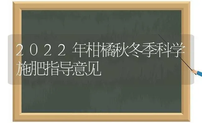 2022年柑橘秋冬季科学施肥指导意见 | 种植肥料施肥