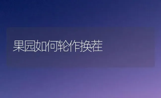 果园如何轮作换茬 | 瓜果种植