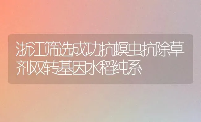 浙江筛选成功抗螟虫抗除草剂双转基因水稻纯系 | 粮油作物种植