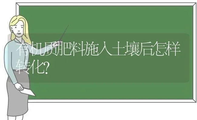 有机质肥料施入土壤后怎样转化？ | 种植肥料施肥