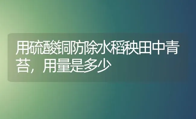 用硫酸铜防除水稻秧田中青苔，用量是多少 | 粮油作物种植