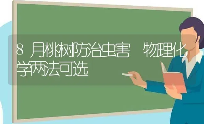 8月桃树防治虫害 物理化学两法可选 | 瓜果种植