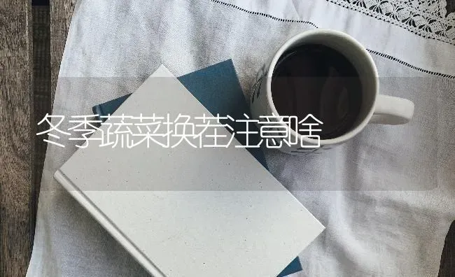 冬季蔬菜换茬注意啥 | 蔬菜种植