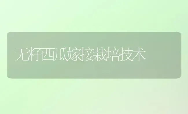 无籽西瓜嫁接栽培技术 | 瓜果种植