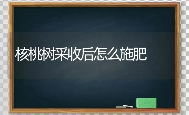 核桃树采收后怎么施肥 | 种植肥料施肥