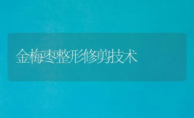 金梅枣整形修剪技术 | 瓜果种植