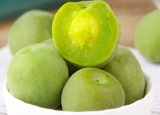 果实成熟|青梅成熟的季节是几月
