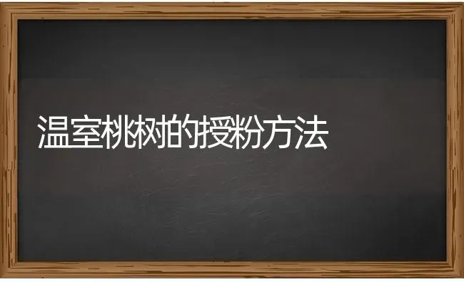 温室桃树的授粉方法 | 瓜果种植