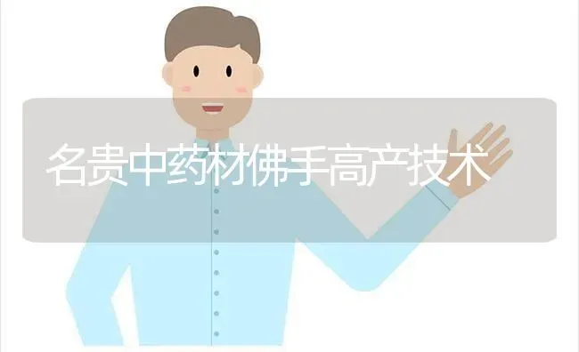 名贵中药材佛手高产技术 | 药材种植