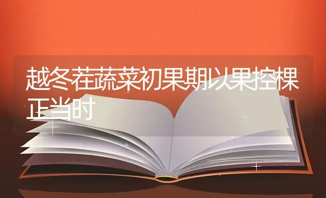 越冬茬蔬菜初果期以果控棵正当时 | 蔬菜种植