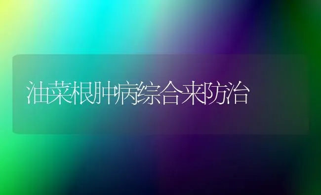 油菜根肿病综合来防治 | 粮油作物种植