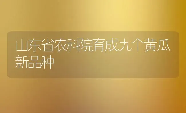 山东省农科院育成九个黄瓜新品种 | 蔬菜种植