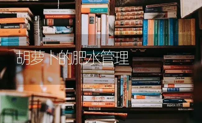 胡萝卜的肥水管理 | 蔬菜种植