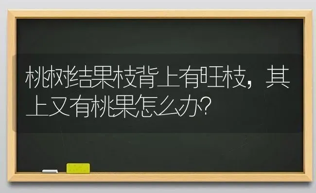 桃树结果枝背上有旺枝，其上又有桃果怎么办？ | 瓜果种植