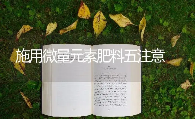施用微量元素肥料五注意 | 种植肥料施肥