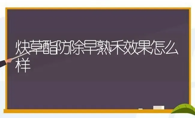 炔草酯防除早熟禾效果怎么样 | 瓜果种植