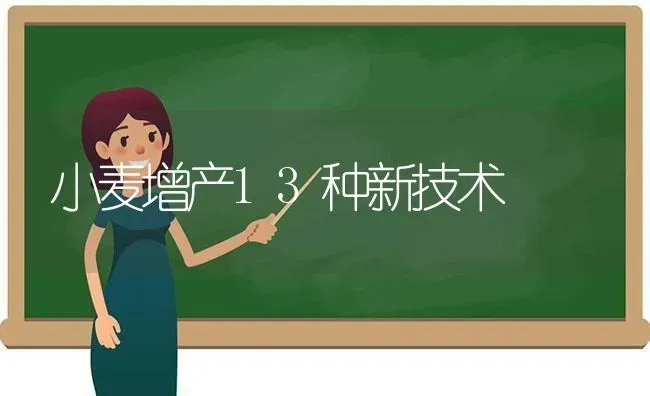 小麦增产13种新技术 | 粮油作物种植