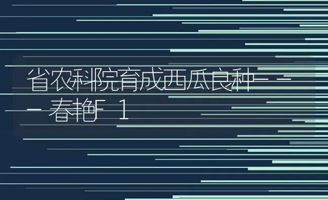 省农科院育成西瓜良种---春艳F1 | 瓜果种植