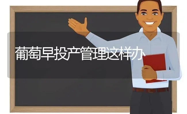 葡萄早投产管理这样办 | 瓜果种植