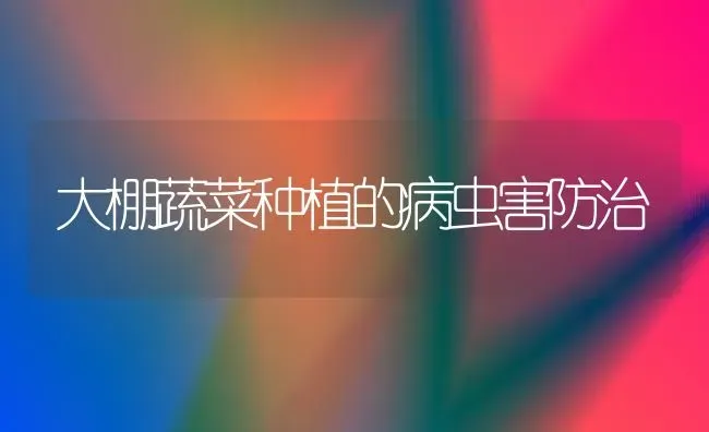 大棚蔬菜种植的病虫害防治 | 蔬菜种植
