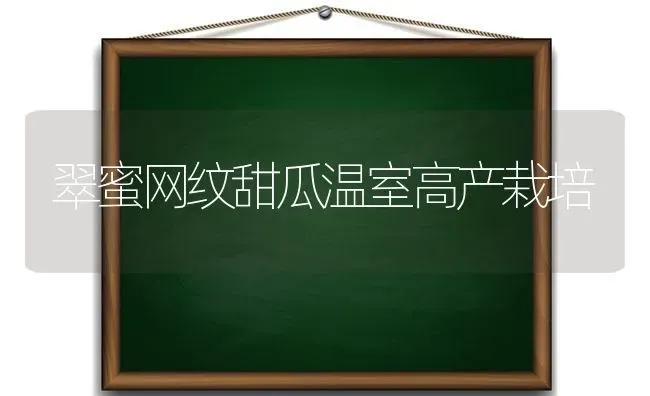 翠蜜网纹甜瓜温室高产栽培 | 瓜果种植