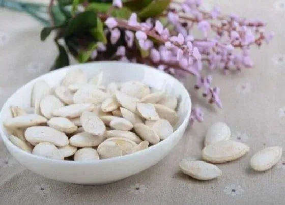 植物播种|南瓜子什么时候播种