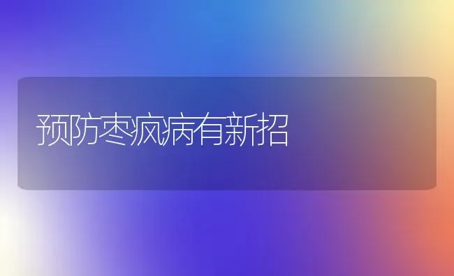 预防枣疯病有新招 | 瓜果种植