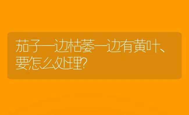 茄子一边枯萎一边有黄叶、要怎么处理？ | 蔬菜种植