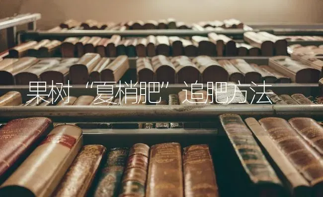 果树“夏梢肥”追肥方法 | 瓜果种植