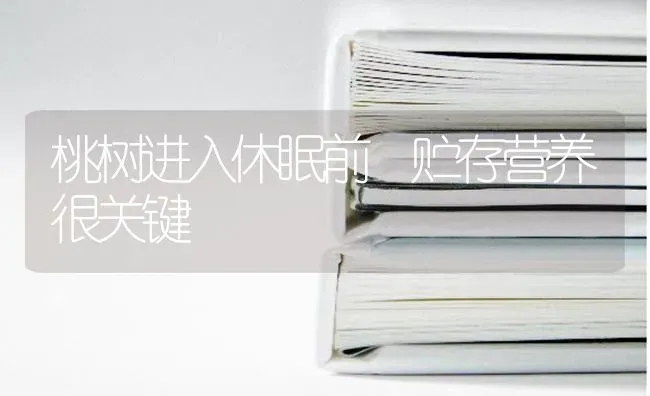 桃树进入休眠前 贮存营养很关键 | 瓜果种植