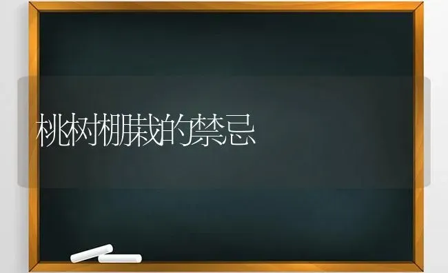 桃树棚栽的禁忌 | 瓜果种植