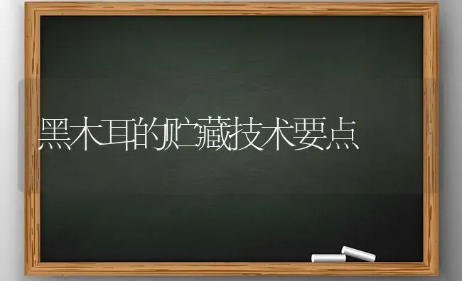 黑木耳的贮藏技术要点 | 食用菌种植