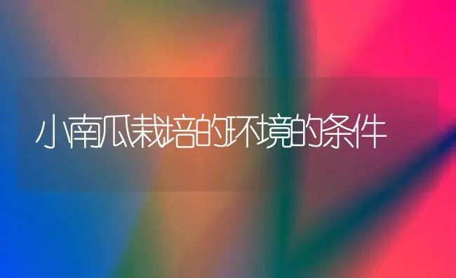 小南瓜栽培的环境的条件 | 蔬菜种植