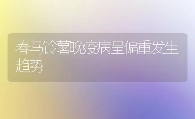 春马铃薯晚疫病呈偏重发生趋势 | 粮油作物种植