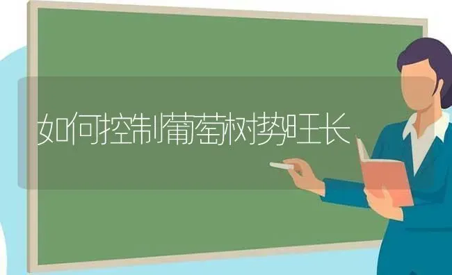 如何控制葡萄树势旺长 | 瓜果种植