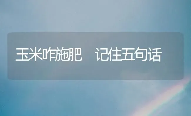 玉米咋施肥 记住五句话 | 种植肥料施肥