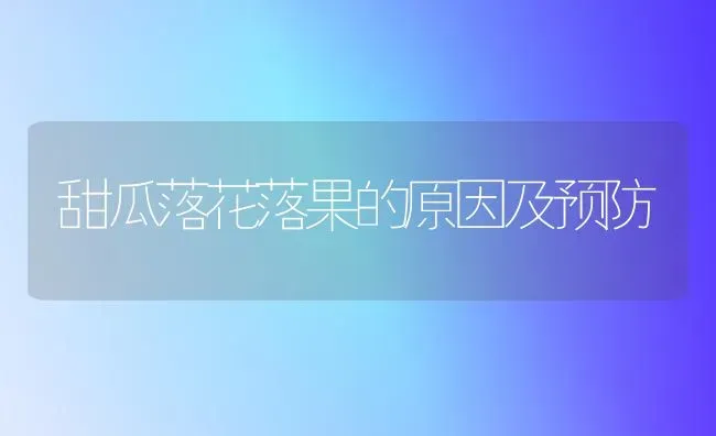 甜瓜落花落果的原因及预防 | 瓜果种植