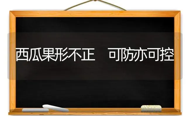 西瓜果形不正 可防亦可控 | 瓜果种植