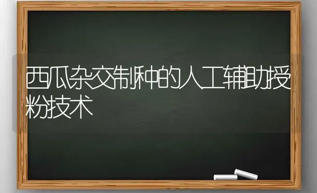 西瓜杂交制种的人工辅助授粉技术 | 瓜果种植