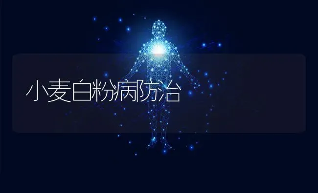 小麦白粉病防治 | 粮油作物种植