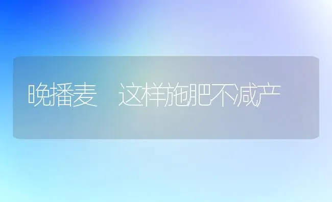 晚播麦 这样施肥不减产 | 种植肥料施肥